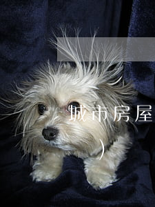城市房屋拆遷征收土地可以獲得哪些補(bǔ)償