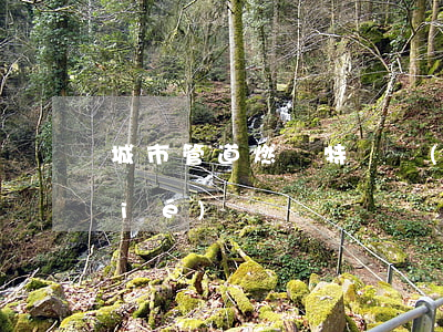 城市管道燃氣特許經(jīng)營協(xié)議