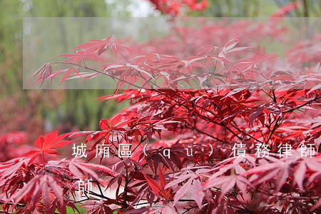 城廂區(qū)債務律師-福州債務糾紛律師