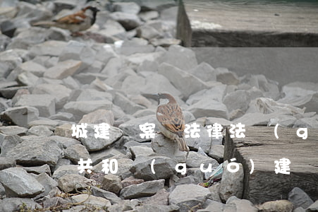 城建檔案館法律法規(guī)(中華人民共和國(guó)建設(shè)部令第90號(hào)城市建設(shè)檔案管理規(guī)定規(guī)范哪里有)