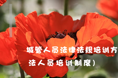 城管人员法律法规培训方案(什么是行政执法人员培训制度)
