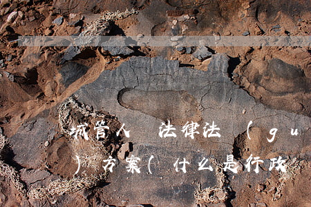 城管人員法律法規(guī)培訓(xùn)方案(什么是行政執(zhí)法人員培訓(xùn)制度)