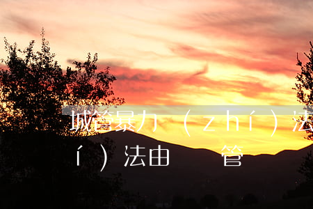 城管暴力執(zhí)法(城管暴力執(zhí)法由誰來管)
