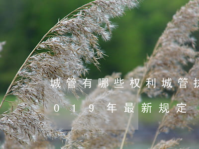 城管有哪些权利?城管执法的行政处罚范围2019年最新规定