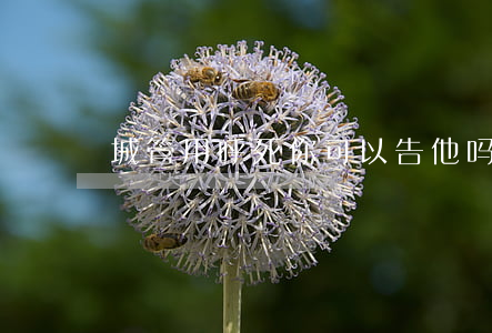 城管用呼死你可以告他吗