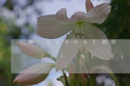 城鎮(zhèn)居民養(yǎng)老保險(xiǎn)計(jì)算方法是怎樣的（哪些對(duì)象可以參加城鎮(zhèn)居民基本養(yǎng)老保險(xiǎn)）