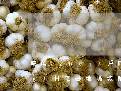 城鎮(zhèn)戶口可以繼承農(nóng)村宅基地嗎(城鎮(zhèn)居民可以繼承農(nóng)村宅基地嗎?)