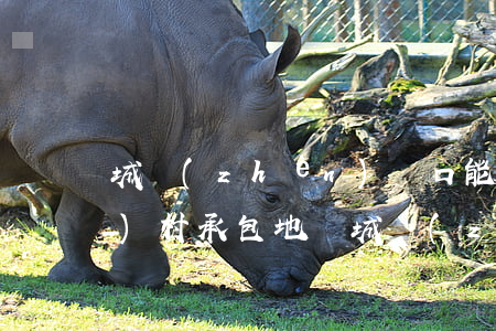 城鎮(zhèn)戶口能繼承農(nóng)村承包地嗎(城鎮(zhèn)戶口的子女可以繼承農(nóng)村父母的承包地嗎)