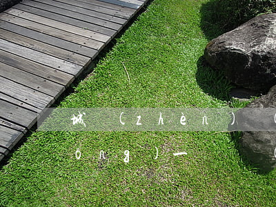 城鎮(zhèn)農(nóng)村統(tǒng)一賠償標(biāo)準(zhǔn)2021(城鎮(zhèn)農(nóng)村統(tǒng)一賠償標(biāo)準(zhǔn)2021)