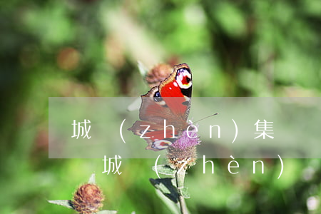 城鎮(zhèn)集體戶口可以繼承宅基地嗎(城鎮(zhèn)戶口子女能繼承農(nóng)村宅基地嗎)