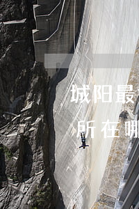 城阳最好的律师事务所(城阳最好的律师事务所在哪里)