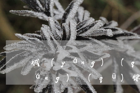城陽(yáng)區(qū)律師，城陽(yáng)區(qū)律師事務(wù)所