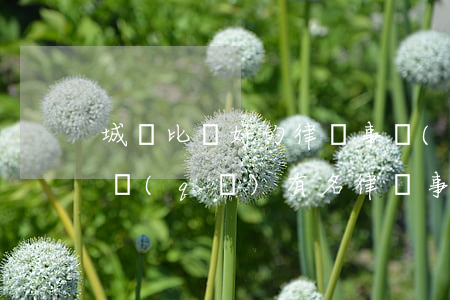 城陽比較好的律師事務(wù)所(青島城陽區(qū)有名律師事務(wù)所)