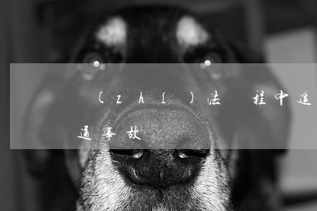 執(zhí)法過程中追車導致事故屬于交通事故嗎