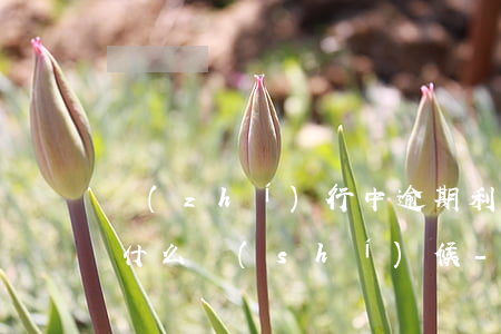 執(zhí)行中逾期利息計(jì)算至什么時(shí)候-執(zhí)行中逾期利息計(jì)算至什么時(shí)候結(jié)束