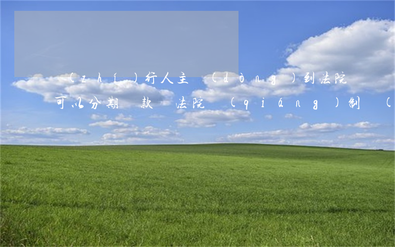 執(zhí)行人主動(dòng)到法院可以分期還款嗎(法院強(qiáng)制執(zhí)行可以分期還款嗎)