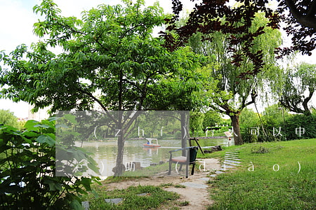 執(zhí)行人可以申請法院出協(xié)助調(diào)查令嗎(被法院執(zhí)行了可以聯(lián)系法院協(xié)商嗎)
