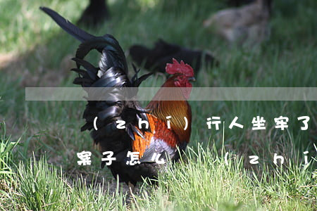 執(zhí)行人坐牢了執(zhí)行的案子怎么辦(執(zhí)行人坐牢了執(zhí)行的案子怎么辦)