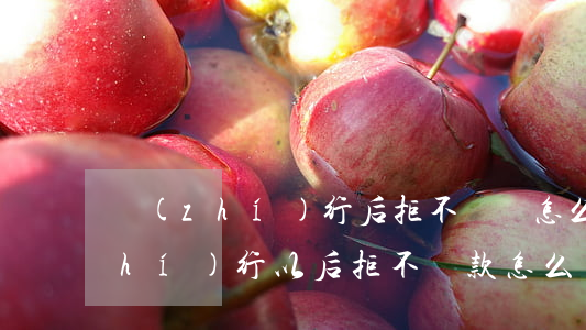 執(zhí)行后拒不還錢怎么辦(被執(zhí)行以后拒不還款怎么辦)