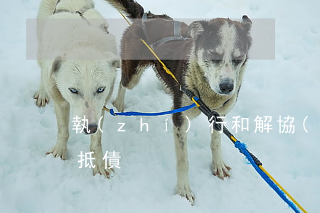 執(zhí)行和解協(xié)議之以物抵債