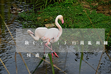 執(zhí)行員亂用職權(quán)如何處理