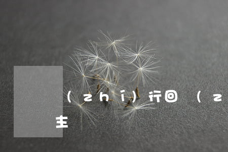 執(zhí)行回轉(zhuǎn)的賠償主體