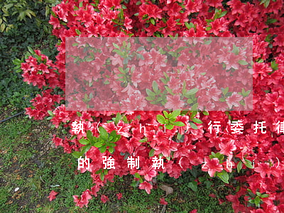 執(zhí)行委托律師多少錢?(找律師申請的強制執(zhí)行 律師費多少)