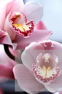 執(zhí)行局協(xié)商還款后沒(méi)有湊到錢怎么辦-執(zhí)行局協(xié)商還款后沒(méi)有湊到錢怎么辦呢