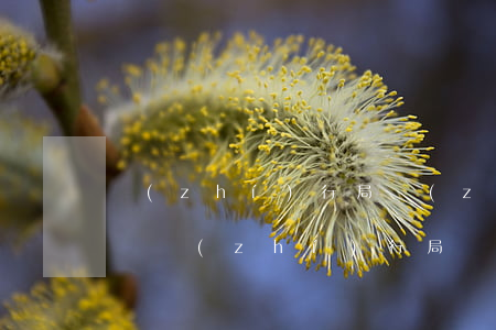 執(zhí)行局執(zhí)行了無力償還(執(zhí)行局執(zhí)行沒錢怎么辦能申請延期執(zhí)行嗎)