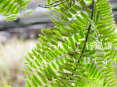 執(zhí)行局讓去還錢(qián)沒(méi)錢(qián)怎么辦(執(zhí)行局執(zhí)行了沒(méi)錢(qián)還會(huì)怎么樣)