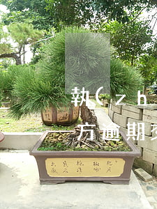 執(zhí)行政府定價(jià)合同賣方逾期交貨-執(zhí)行政府定價(jià)合同賣方逾期交貨怎么辦