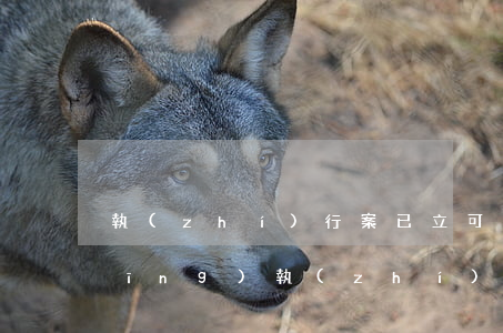 執(zhí)行案已立可以撤回嗎(已經(jīng)執(zhí)行了的案件可以撤訴嗎)