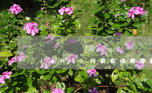 執(zhí)行款在法院停留時間是多少天