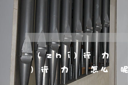 執(zhí)行無力償還怎么辦(執(zhí)行無力償還怎么辦呢)