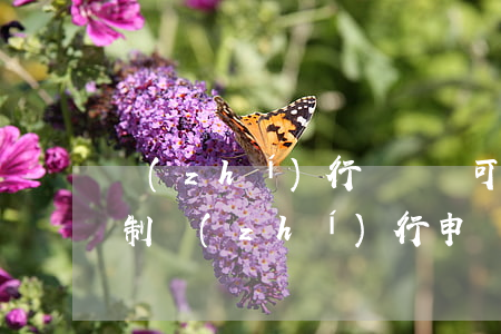 執(zhí)行異議書可以郵寄給法院嗎(強制執(zhí)行申請書可以郵寄到法院嗎)