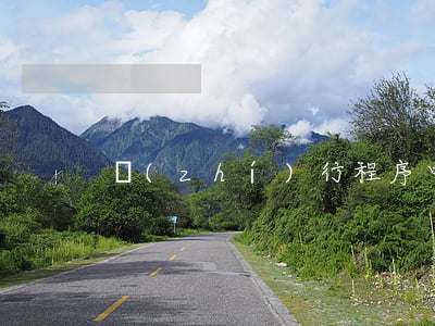 執(zhí)行程序中是否可以委托代理人