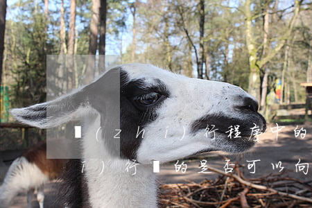 執(zhí)行程序中的案外人對執(zhí)行標的是否可以向人民法院提出異議