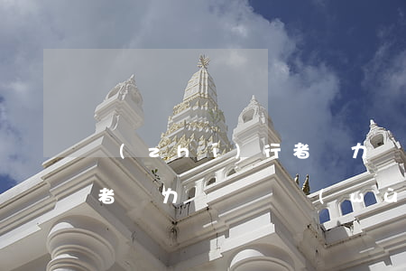 執(zhí)行者無力償還(執(zhí)行者無力償還債務(wù))