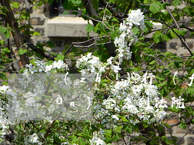 執(zhí)行費(fèi)可以現(xiàn)金交到法院嗎(法院執(zhí)行費(fèi)誰來付)