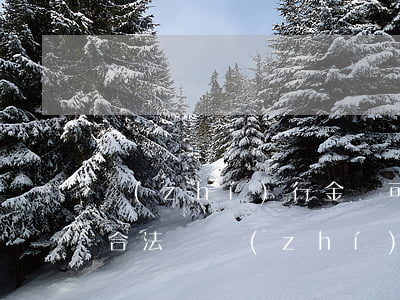 執(zhí)行金額可以協(xié)商嗎合法嗎（執(zhí)行金額可以協(xié)商嗎）
