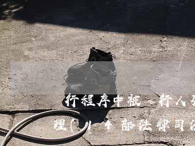 執行程序中被執行人死亡或終止時應如何處理?(14部法律司法解釋及典型案例梳理匯總)