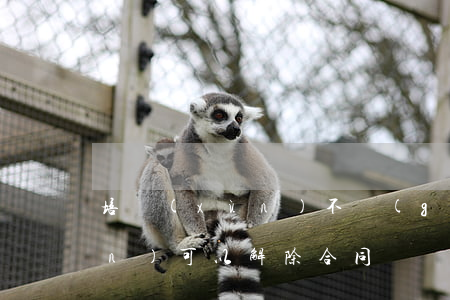 培訓(xùn)不過(guò)關(guān)可以解除合同嗎