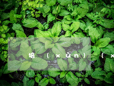 培訓(xùn)協(xié)議書