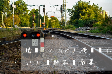 培訓(xùn)老師還不起貸款(培訓(xùn)貸款不還后果)