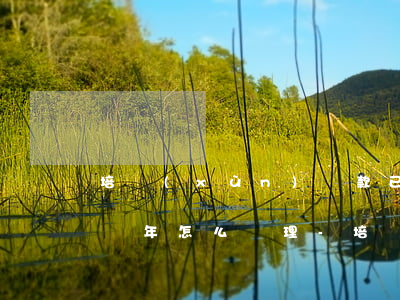 培訓(xùn)貸款已經(jīng)逾期兩年怎么處理-培訓(xùn)貸款已經(jīng)逾期兩年怎么處理呢