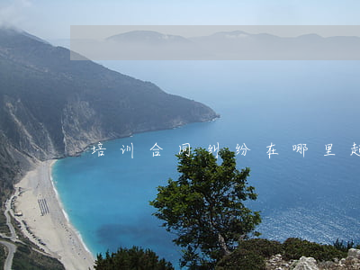 培训合同纠纷在哪里起诉二审