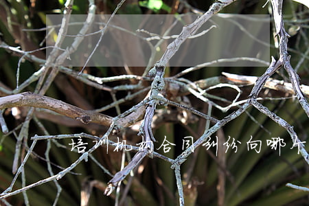 培训机构合同纠纷向哪个部门