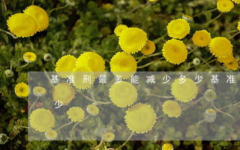 基准刑最多能减少多少(基准刑最多可以减多少)