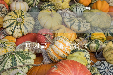 基因敲減逾期消除