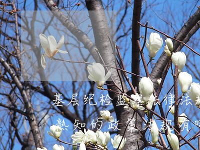 基层纪检监察法律法规(纪检监察干部必须熟知的政策法规有哪些)